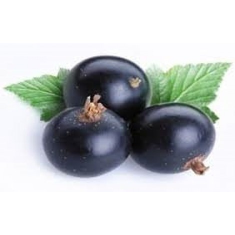 TPA TFA Black Currant