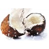 Capella Coconut