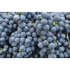 Capella Concord Grape w-stevia