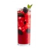 Flavor West Blackberry Mojito