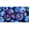 The Last E-Liquid Company - LEC60 - Cloud Saltz Berry Boo 60ml